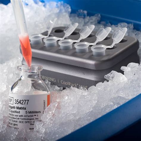 matrigel compressive test|corning matrigel and collagen i.